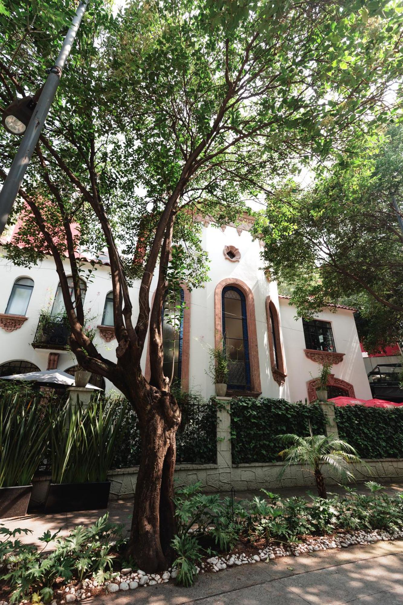 Orchid House Polanco Hotel Ciudad de México Exterior foto