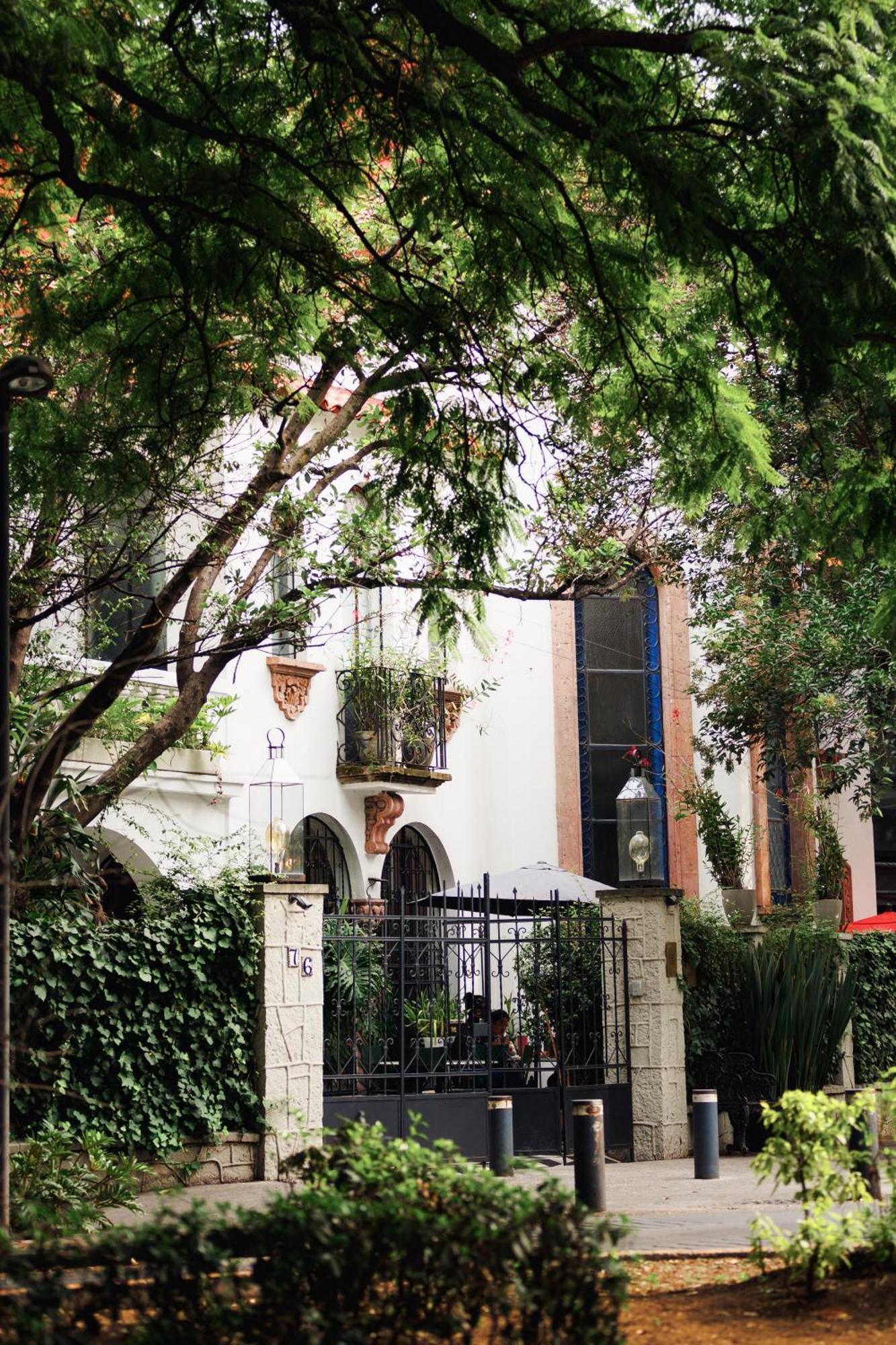 Orchid House Polanco Hotel Ciudad de México Exterior foto